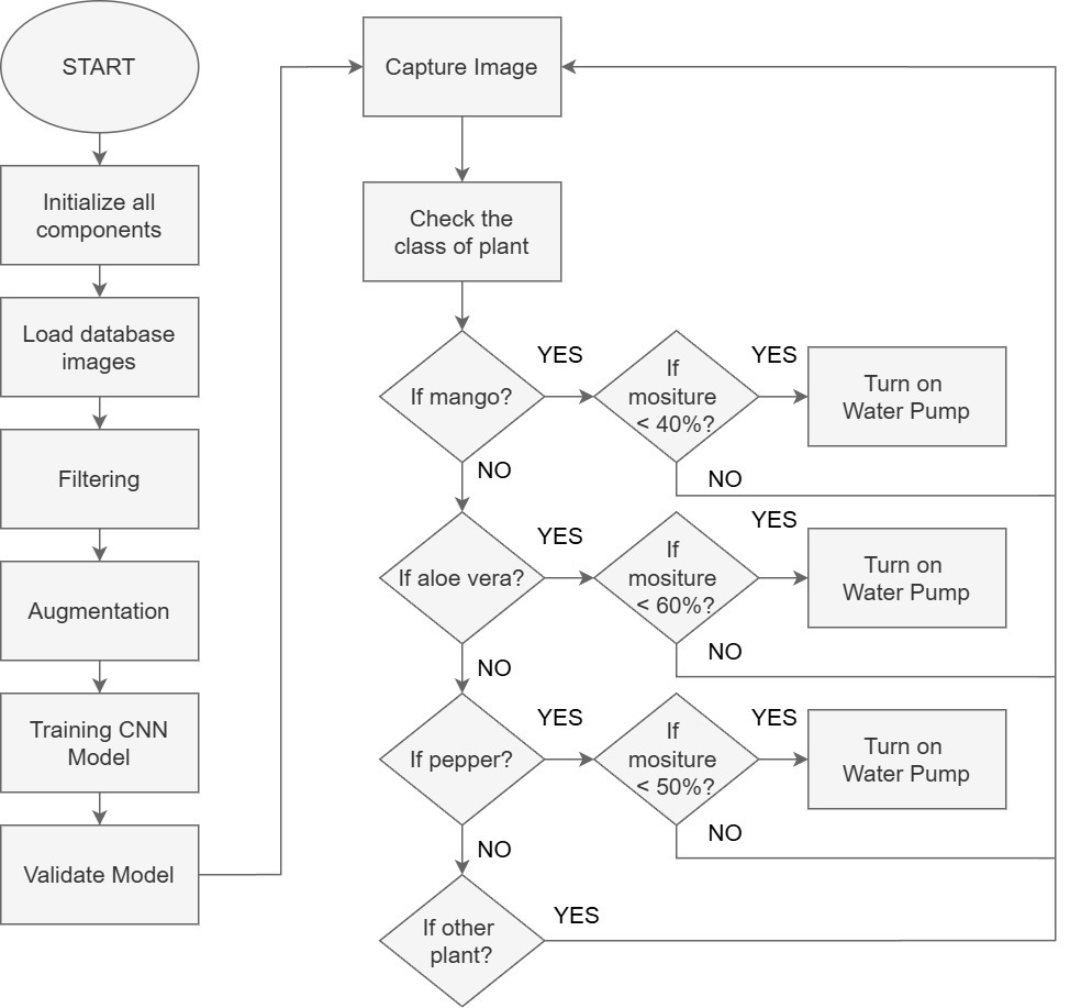 Decision flow: train CNN, classify plant, read moisture, compare to per-species threshold, fire pump