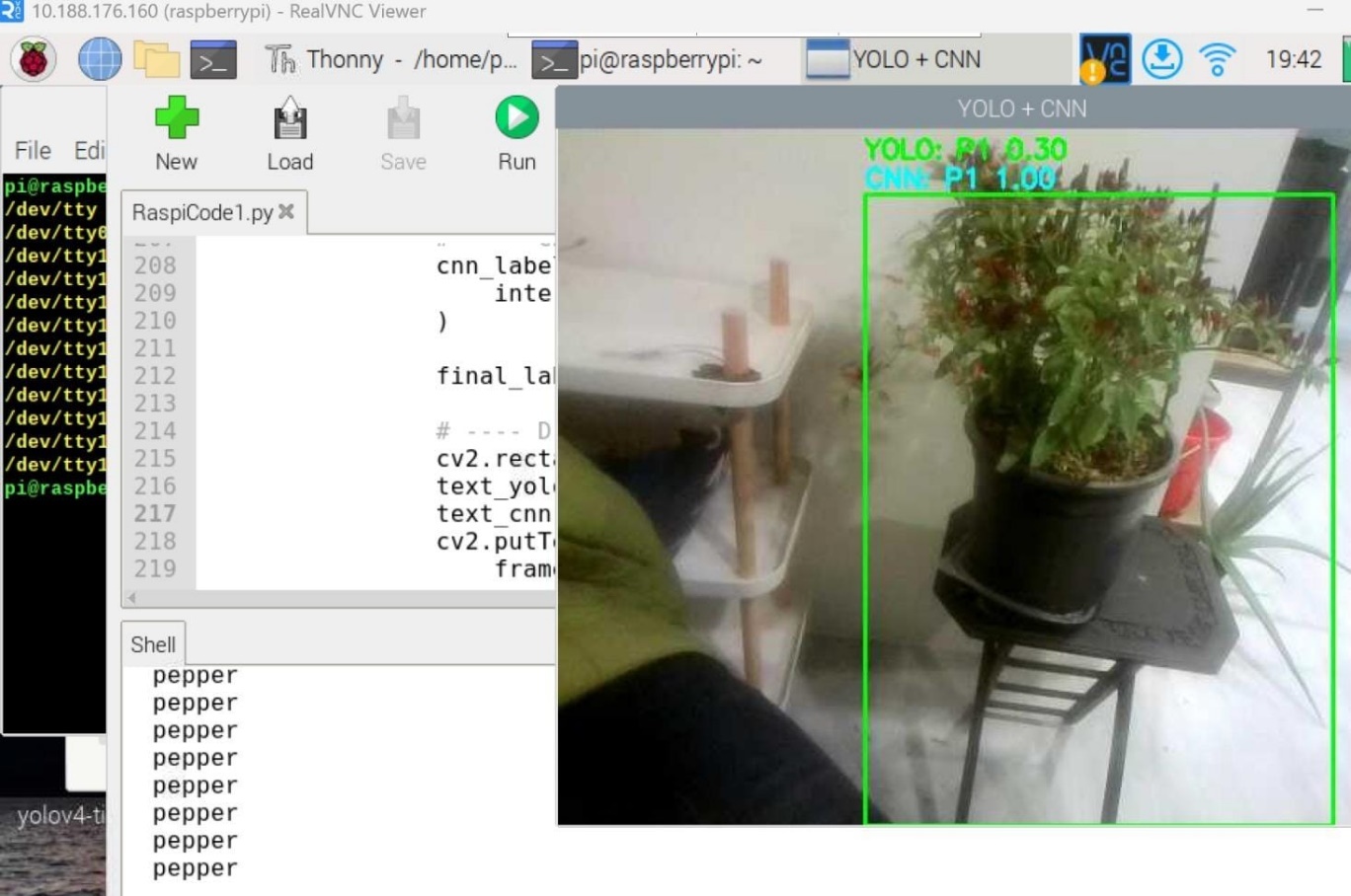 Pepper — smaller leaves, required dataset rebalancing to disambiguate